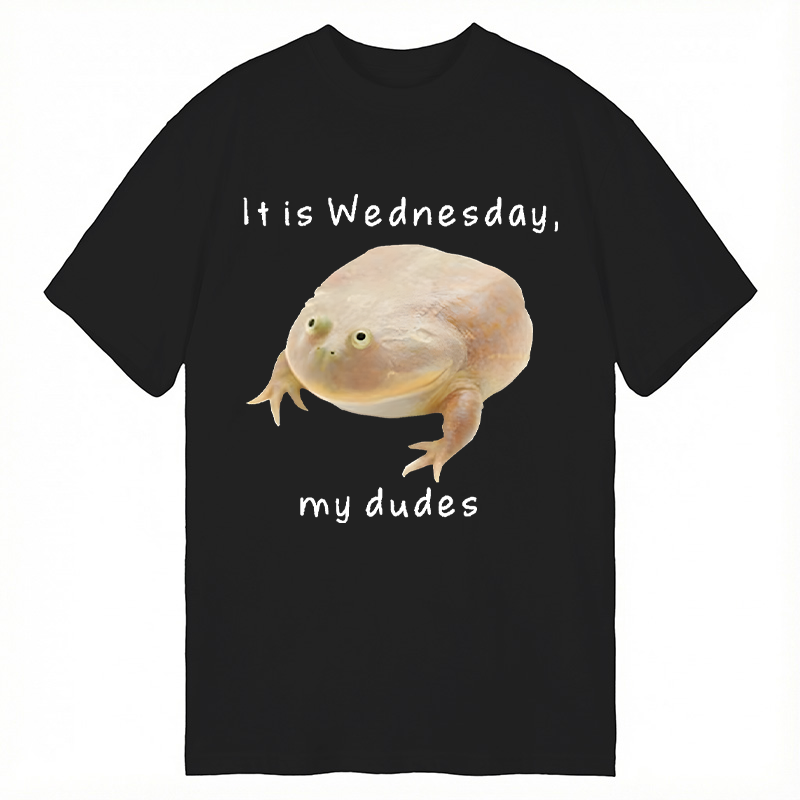 Modecanvas It's Wednesday my dudes DTG Printing Classic T-Shirt-modecanvas