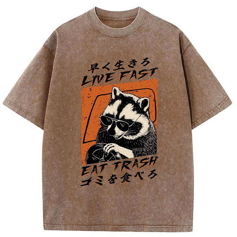 Modecanvas Raccoon Live Fast Eat Trash Washed T-Shirt