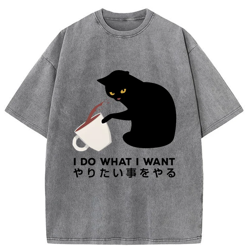 Modecanvas Tsundere Cat Funny Washed T-Shirt