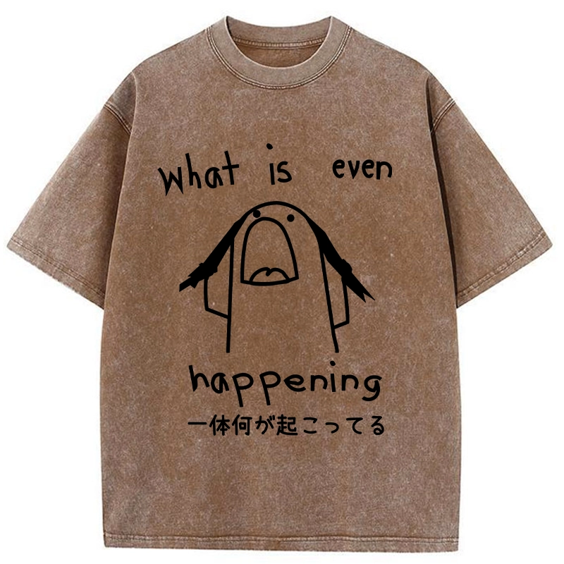 Modecanvas What Is Even Happening Washed T-Shirt-modecanvas