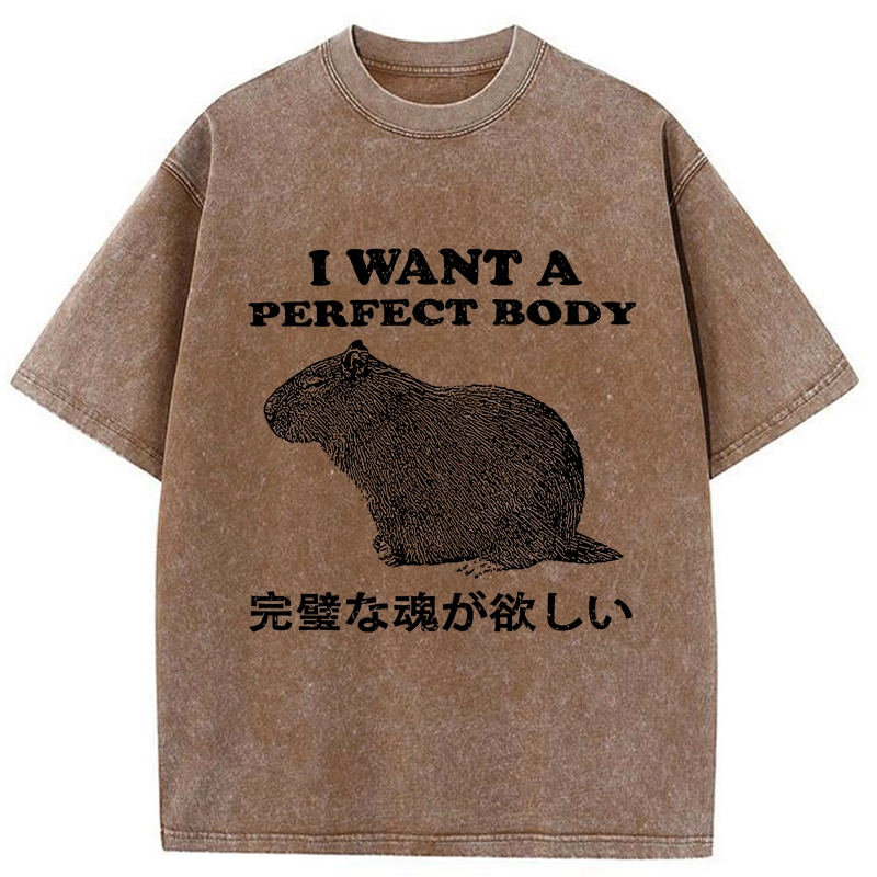Modecanvas I Want A Perfect Body Washed T-Shirt