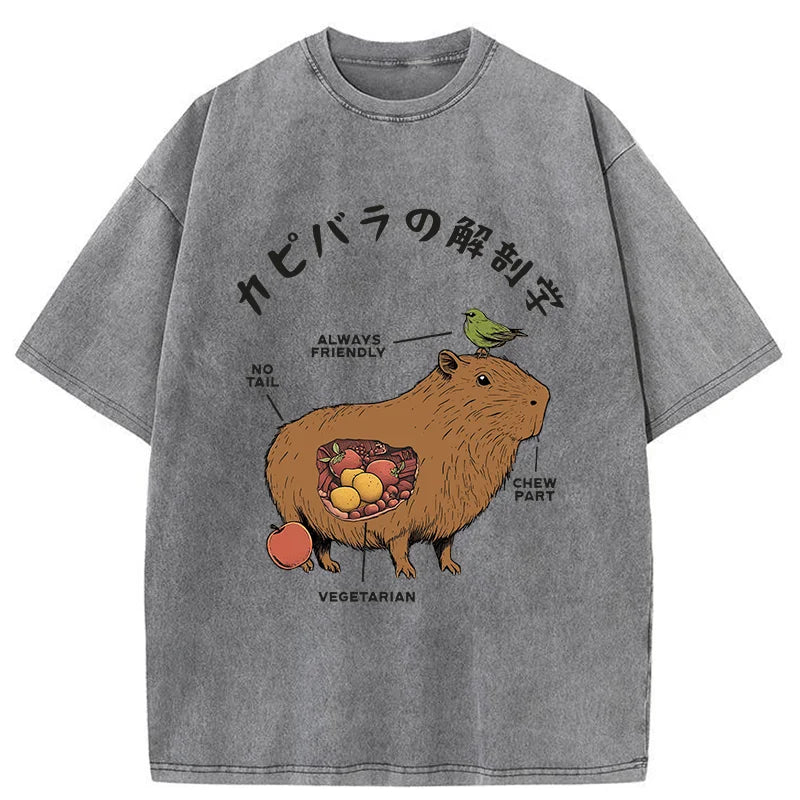 Modecanvas Capybara Anatomy Washed T-Shirt
