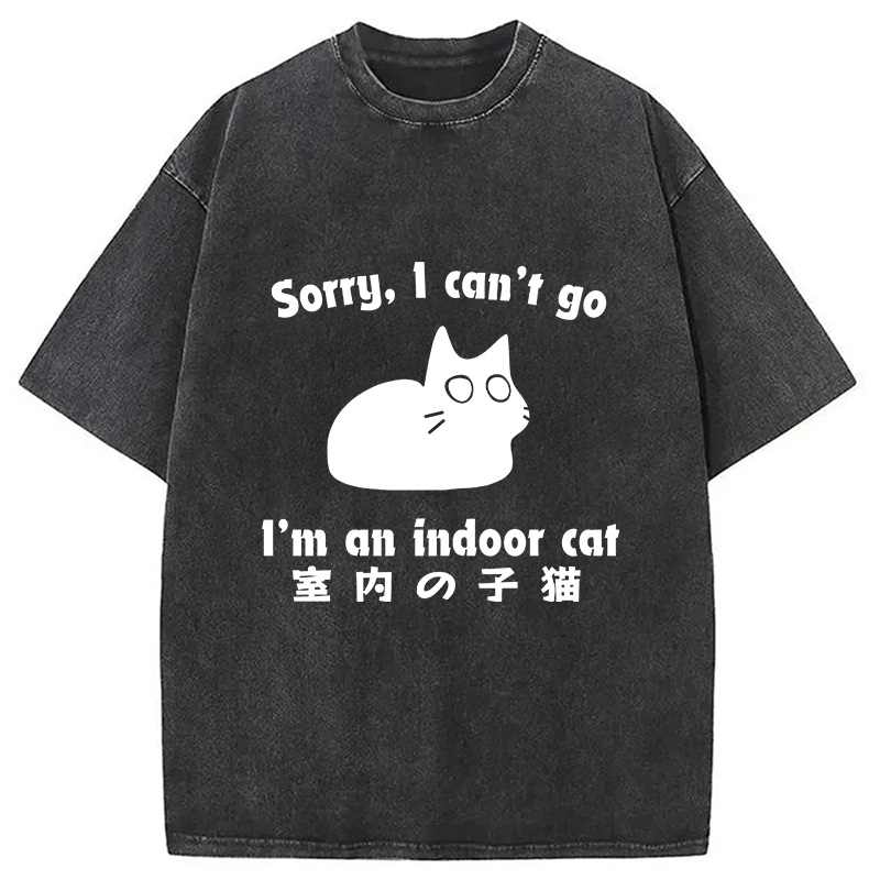 Modecanvas Indoor Kitten Washed T-Shirt-modecanvas