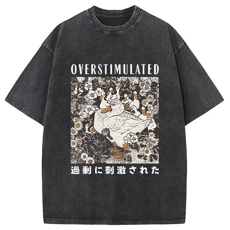 Modecanvas Overthinking Duck Washed T-Shirt