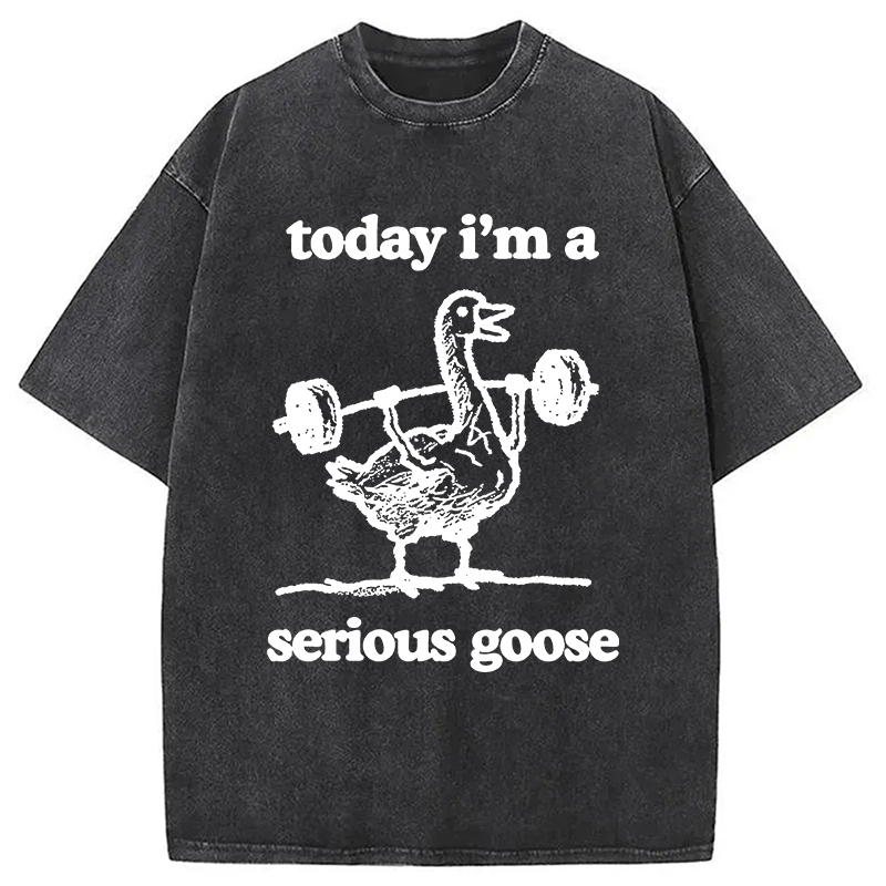 Modecanvas Fitness Goose Washed T-Shirt