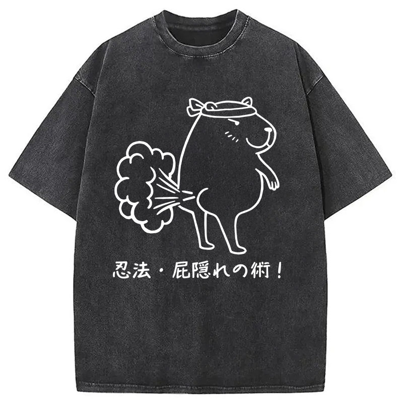 Modecanvas Funny Ninjutsu Fart Hiding Technique Washed T-Shirt