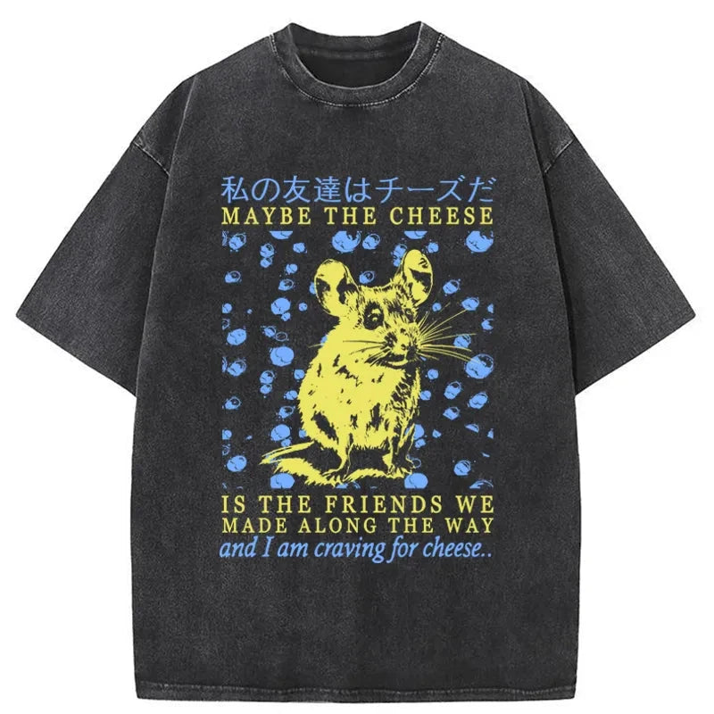 Modecanvas My Friend Is Cheese Washed T-Shirt