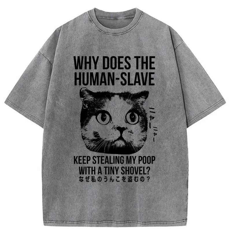 Modecanvas Cat Thinking About human Washed T-Shirt