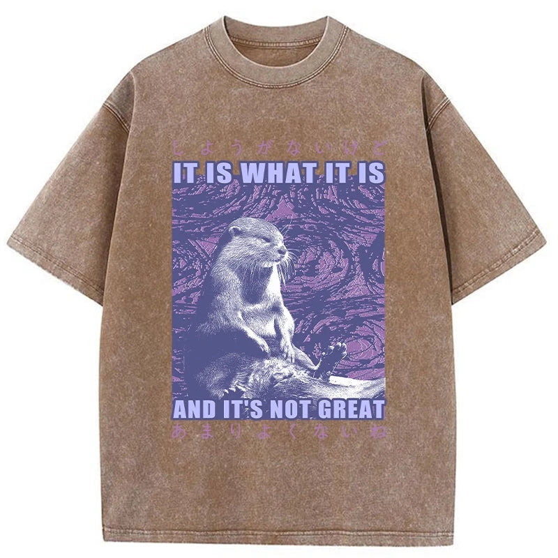 Modecanvas Frustrated Otter Japanese Washed T-Shirt