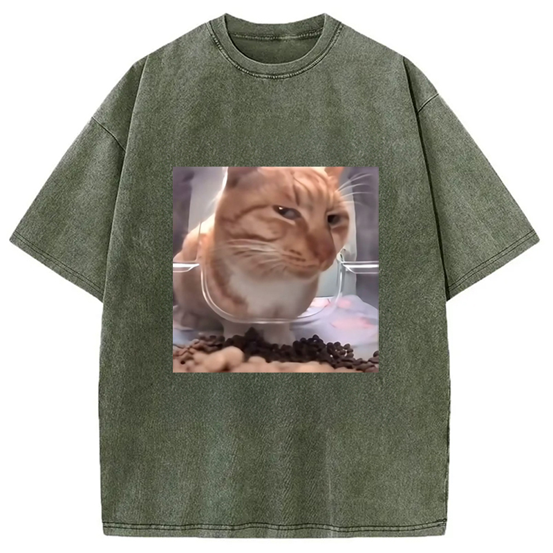 Modecanvas Funny Cat Meme Washed T-Shirt