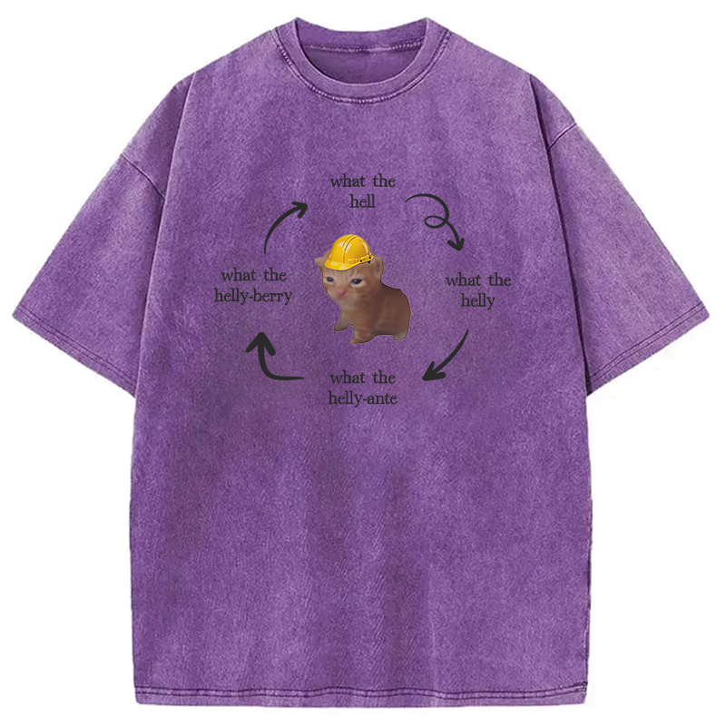 Modecanvas What The Helly Funny Cat Meme DTG Printing Washed T-Shirt