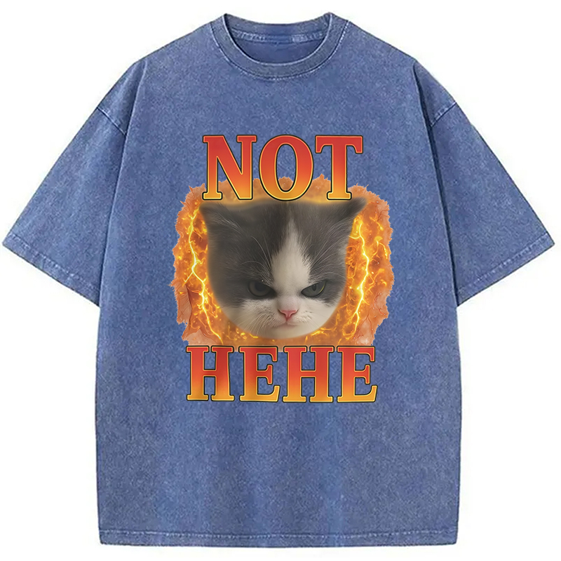 Modecanvas NOT HEHE Funny Cat Meme Washed T-Shirt