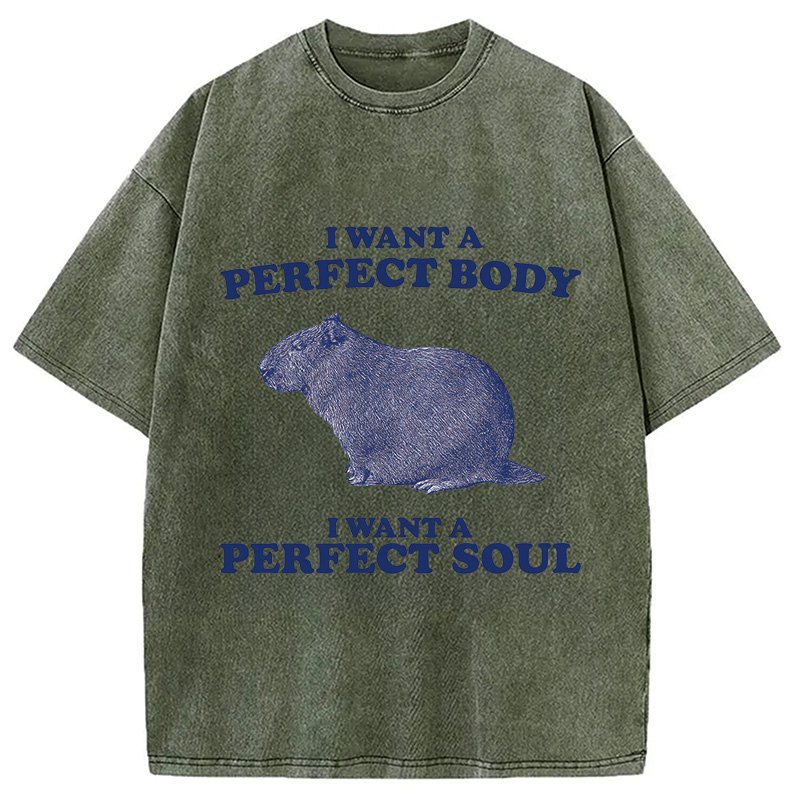 Modecanvas Capybara I Want A Perfect Washed T-Shirt