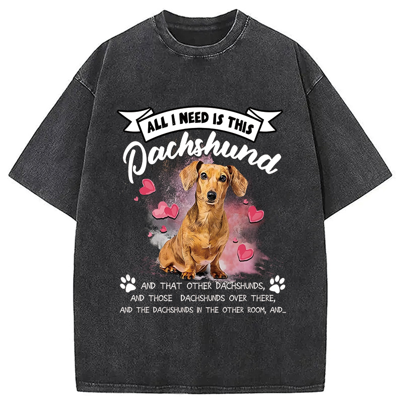 Modecanvas All I Need This Washed T-Shirt