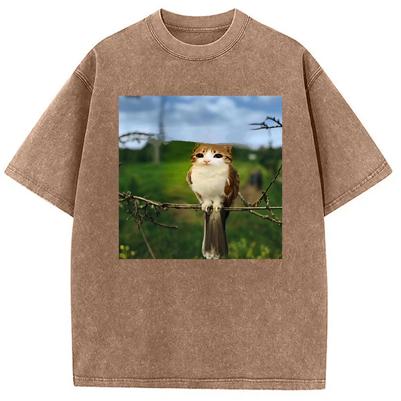 Modecanvas Funny Cat Owl Meme DTG Printing Washed T-Shirt