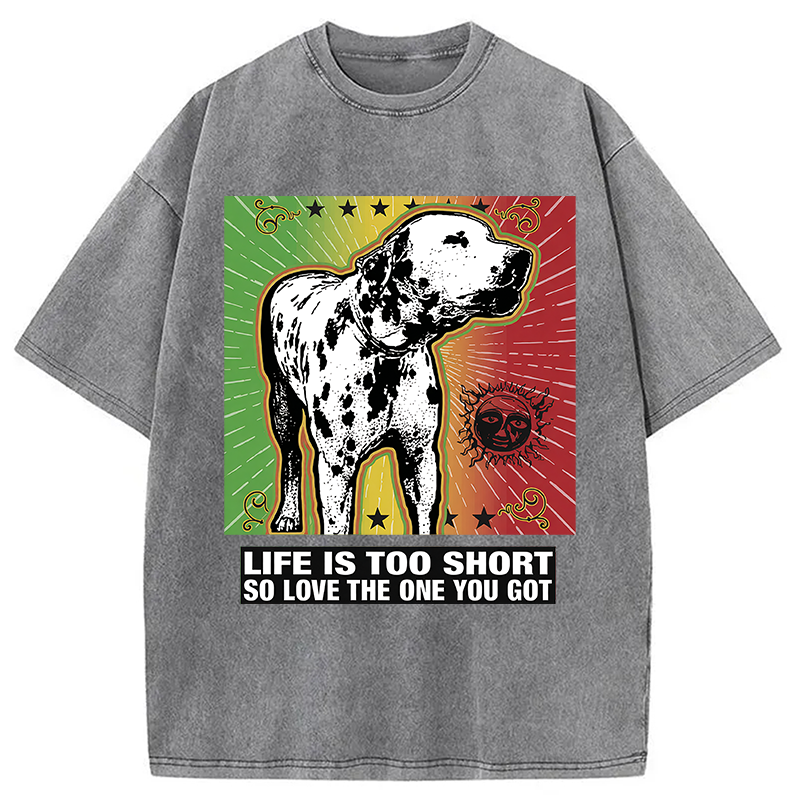 Modecanvas Life Is Too Short So Love The One You Got DTG Printing Washed T-Shirt