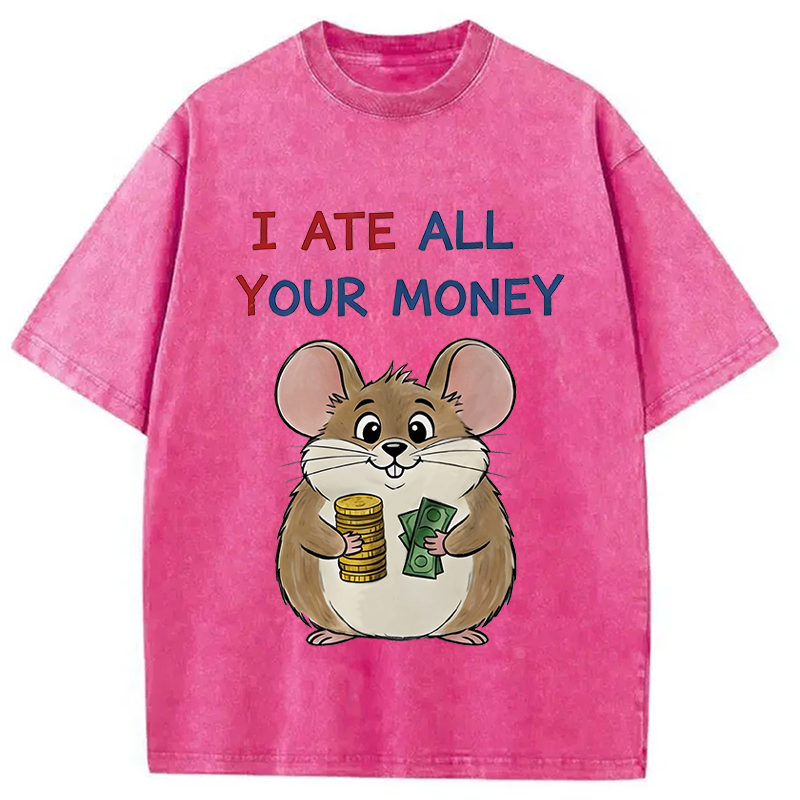 Modecanvas I Ate All Your Money Meme DTG Printing Washed T-Shirt-modecanvas