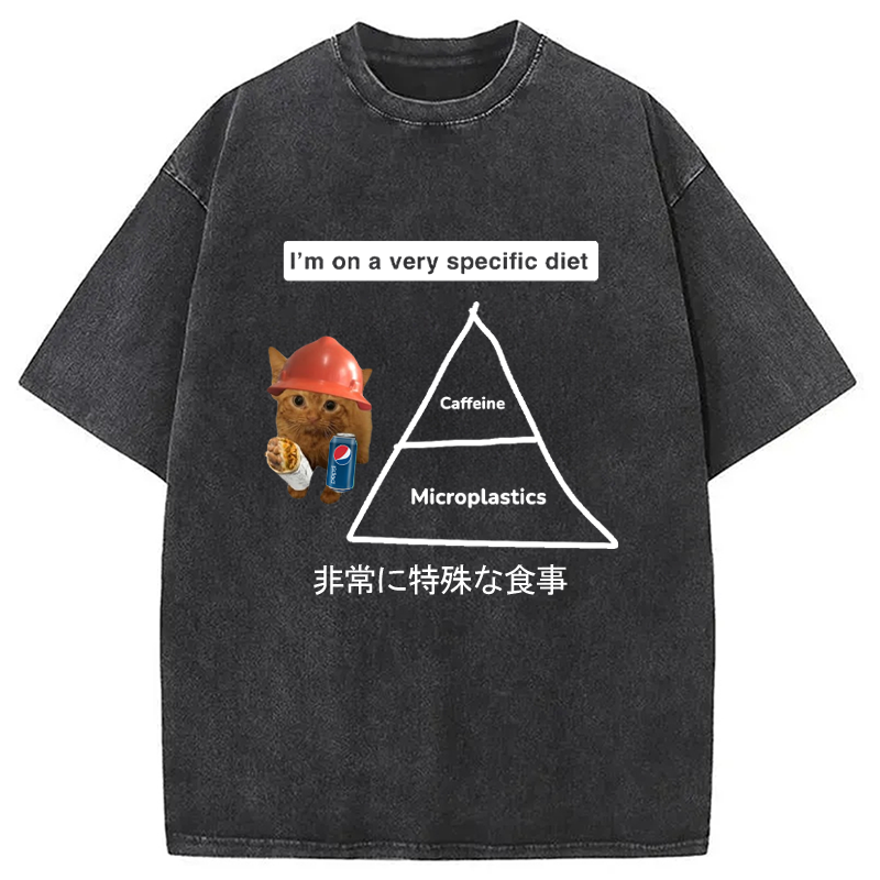 Modecanvas A Very Specific Diet Cat Meme Washed T-Shirt