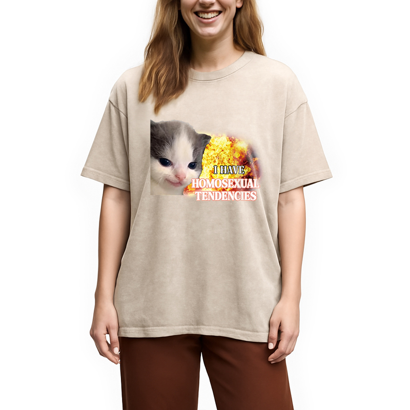 Modecanvas I Have Homosexual Tendencies Evil Kitty Meme DTG Printing Washed T-Shirt