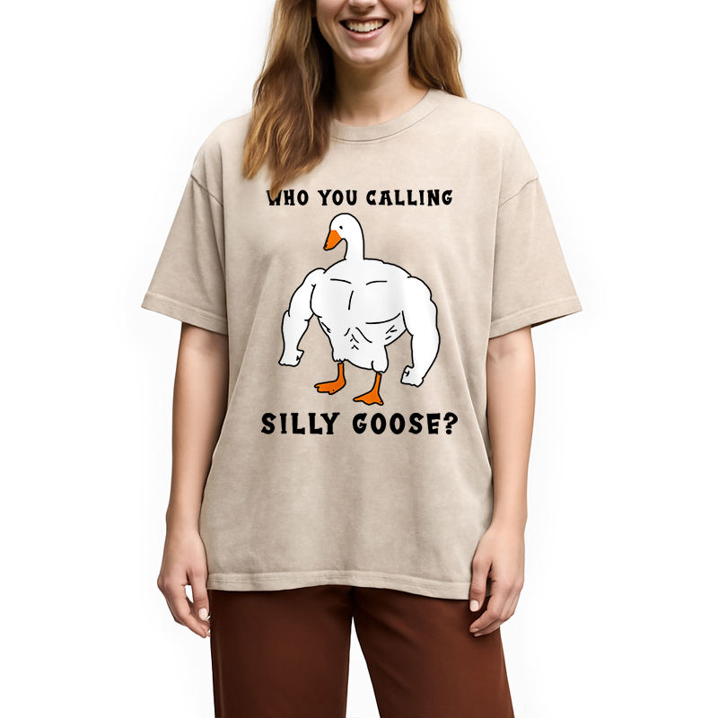 Modecanvas Who You Calling Silly Goose Funny Gym Meme Washed T-Shirt