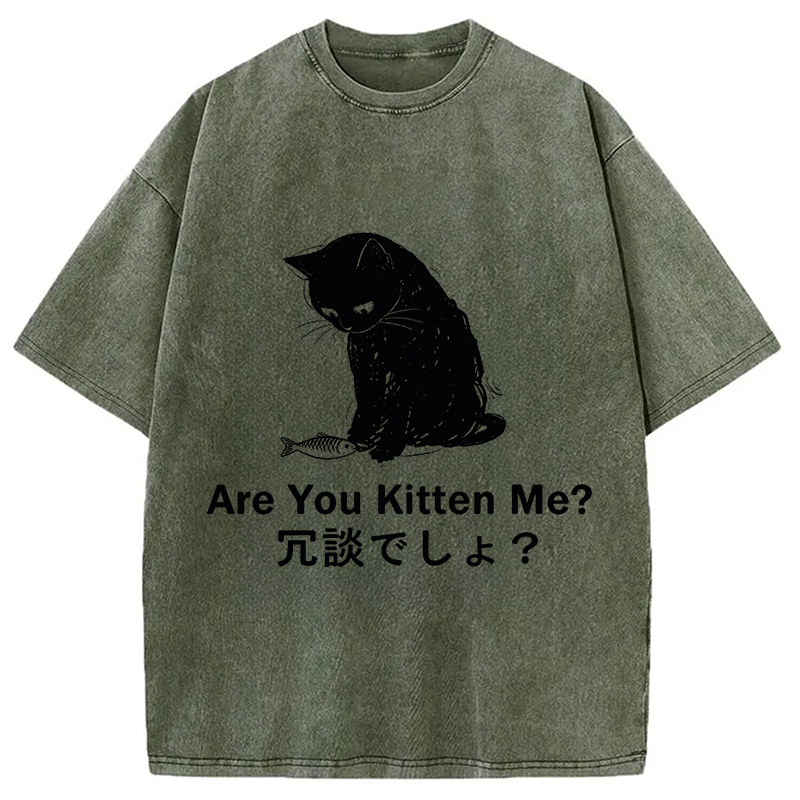 Modecanvas Are You Kitten Me DTG Printing Washed T-Shirt
