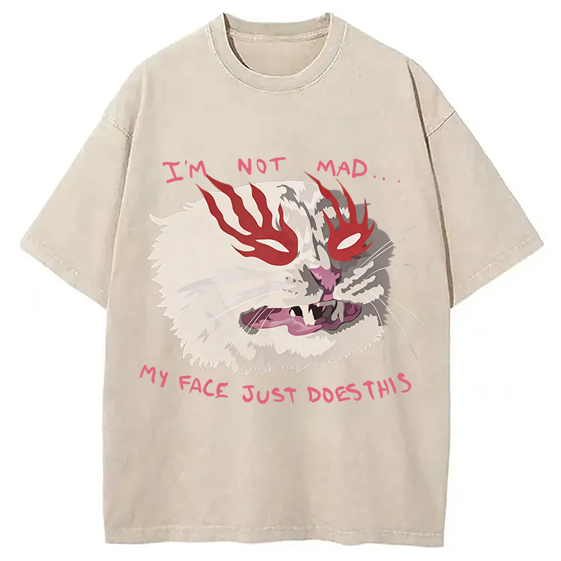 Modecanvas I'm Not Mad DTG Printing Washed T-Shirt