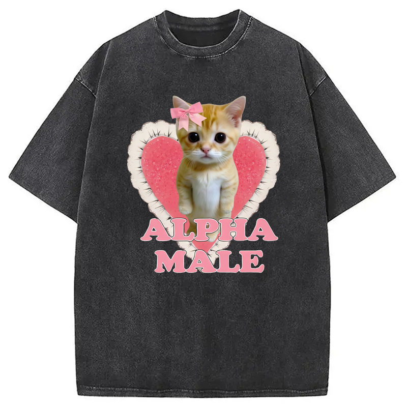 Modecanvas Alpha Male Kitten Washed T-Shirt