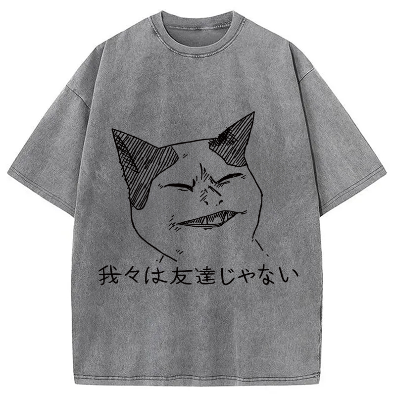 Modecanvas Angry Cat Funny Washed T-Shirt