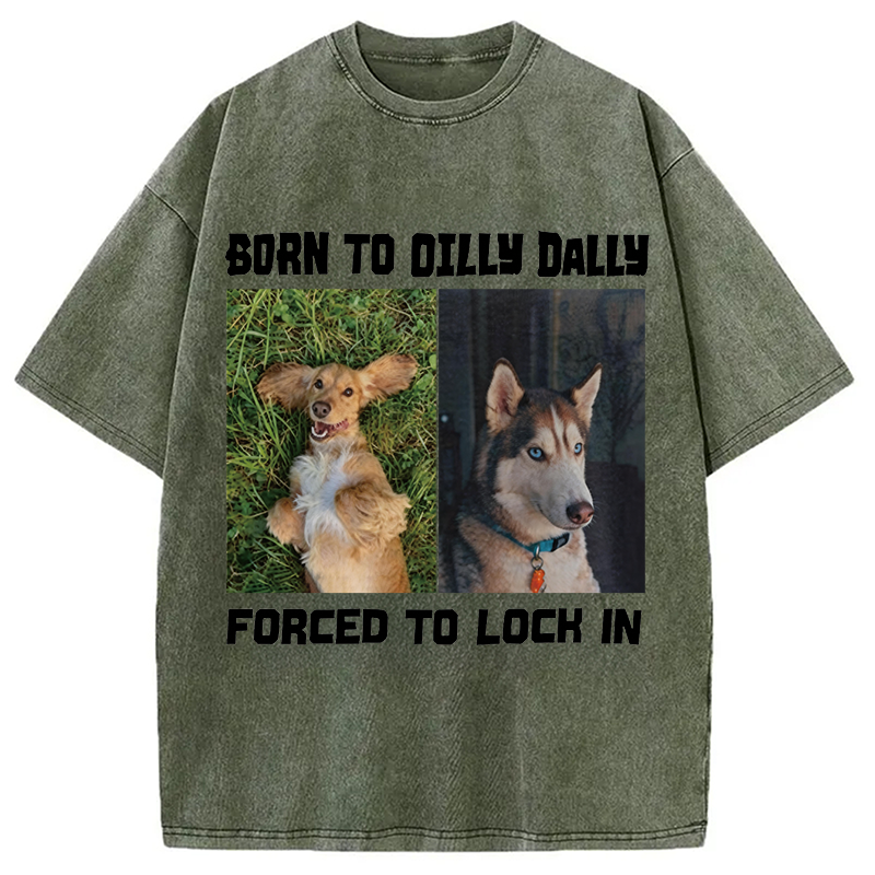 Modecanvas Born to Dilly Dally Forced to Lock In Funny Dog Meme DTG Printing Washed T-Shirt