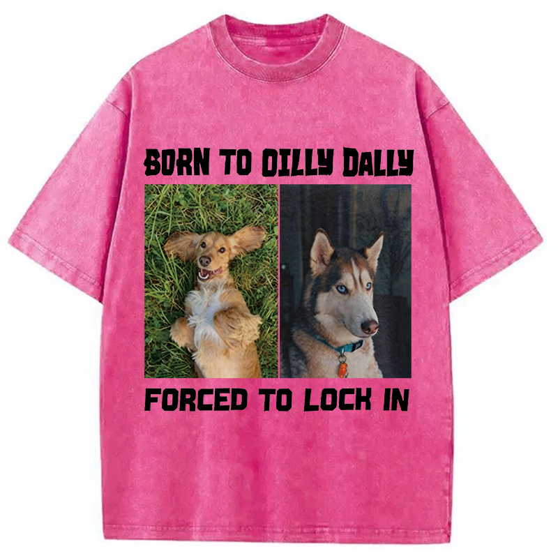 Modecanvas Born to Dilly Dally Forced to Lock In Funny Dog Meme DTG Printing Washed T-Shirt