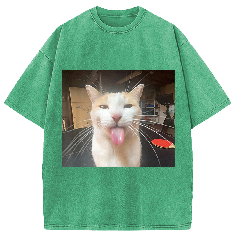 Modecanvas Silly Bleh Funny Cat Meme DTG Printing Washed T-Shirt