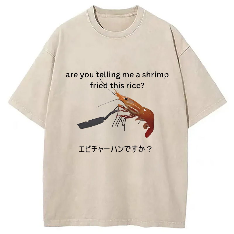 Modecanvas Are You Telling Me a Shrimp Fried This Rice Washed T-Shirt