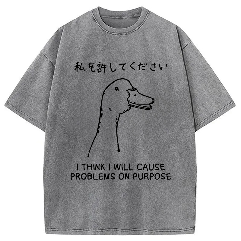 Modecanvas Stupid Goose Funny Japan Washed T-Shirt