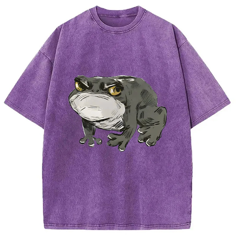 Modecanvas Japanese Frog Retro Washed T-Shirt