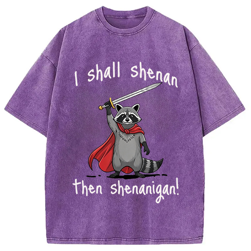 Modecanvas I Shall Shenan Cute Raccoon Meme DTG Printing Washed T-Shirt