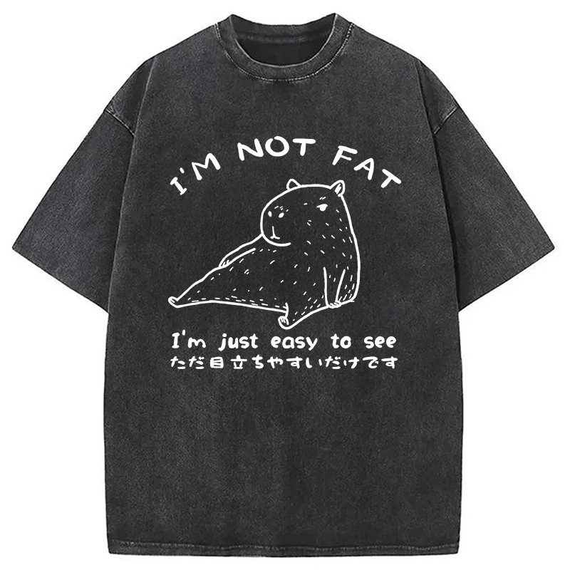 Modecanvas Capybara Fat Just Easy to See Washed T-Shirt