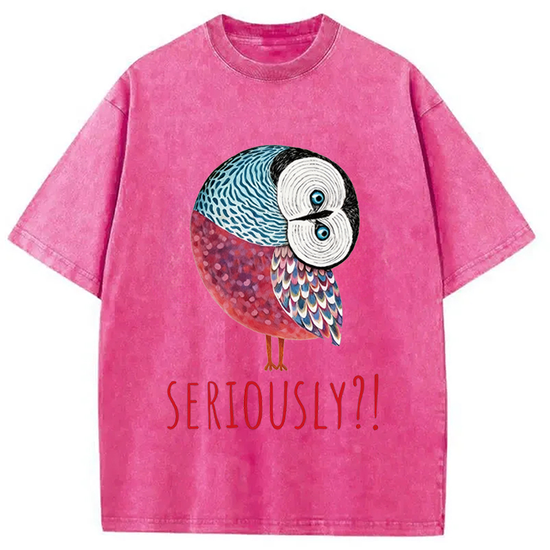 Modecanvas Seriously Art Owl DTG Printing Washed T-Shirt