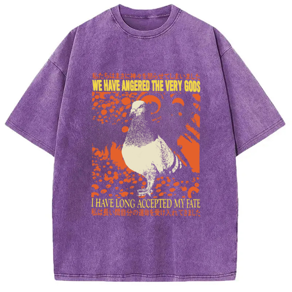 Modecanvas We Have Angered The Very Gods Washed T-Shirt