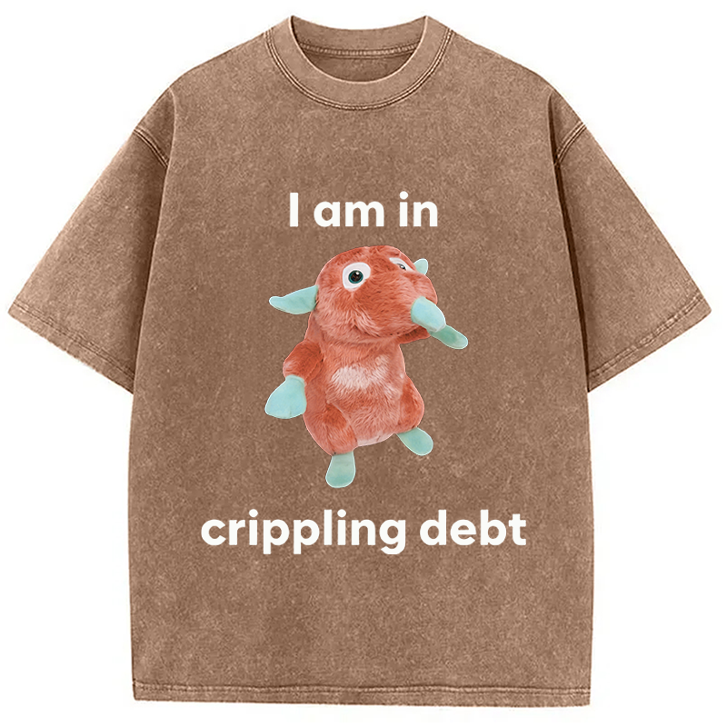 Modecanvas I Am In Crippling Debt Funny Meme DTG Printing Washed T-Shirt