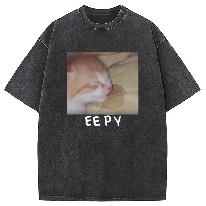 Modecanvas Eepy Kitty Meme Washed T-Shirt