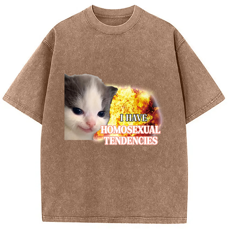 Modecanvas I Have Homosexual Tendencies Evil Kitty Meme DTG Printing Washed T-Shirt