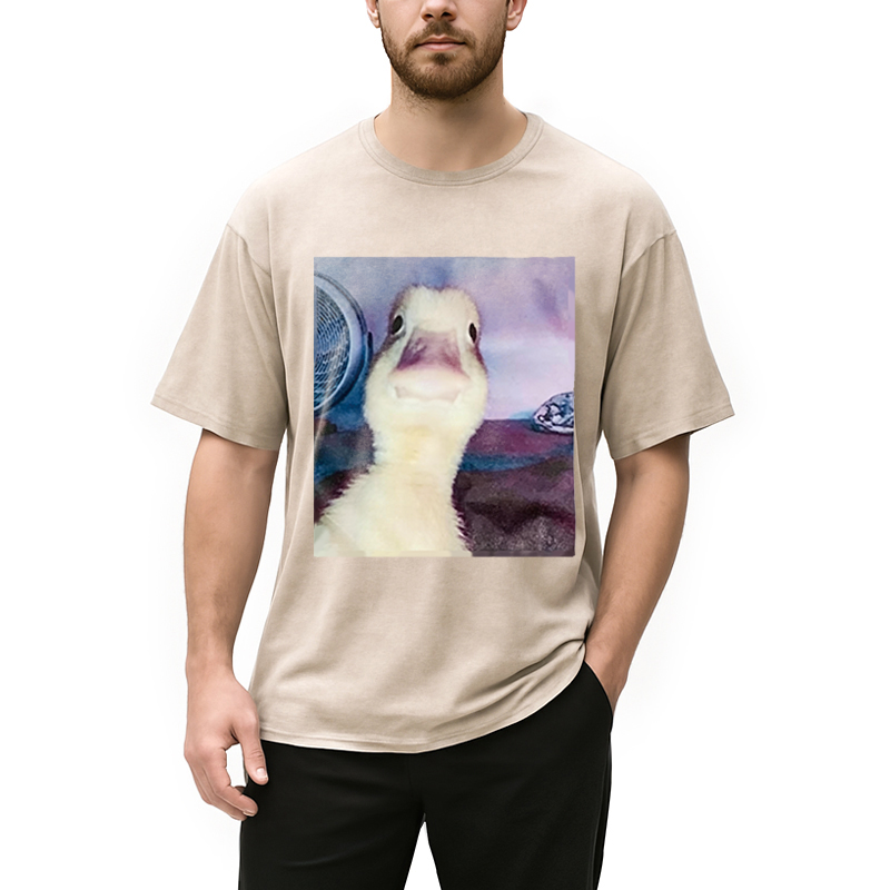 Modecanvas Duck Stare Funny Meme DTG Printing Washed T-Shirt