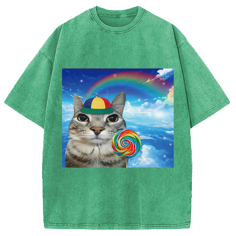 Modecanvas Wholesome Rainbow Cat DTG Printing Washed T-Shirt