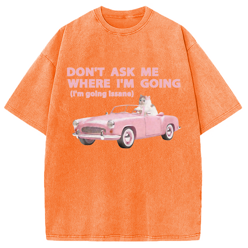 Modecanvas Im Going Insane Cat Meme DTG Printing Washed T-Shirt