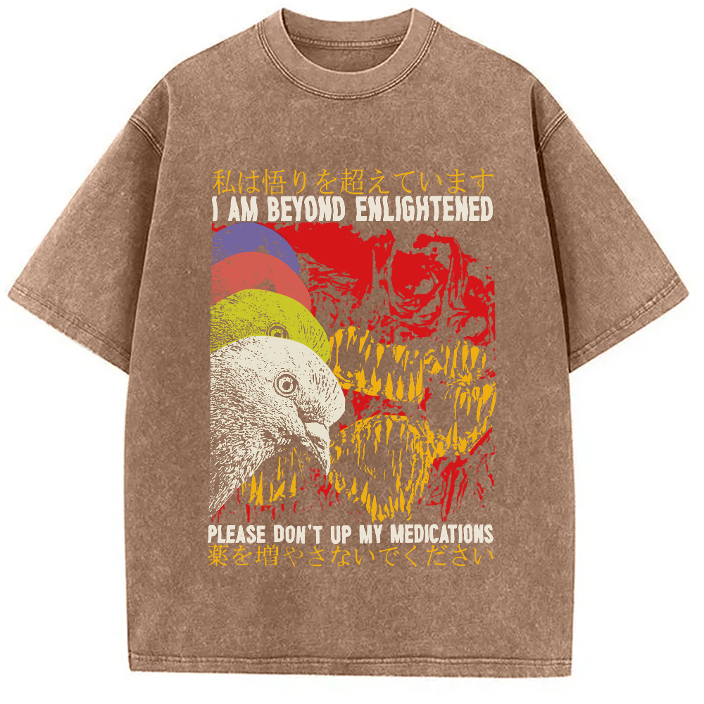 Modecanvas Beyond Enlightened Vintage Pigeon Washed T-Shirt