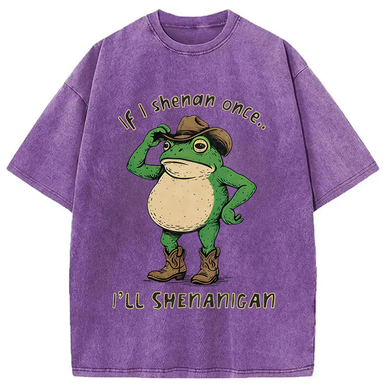 Modecanvas If I Shenan Once Funny Meme Washed T-Shirt-modecanvas