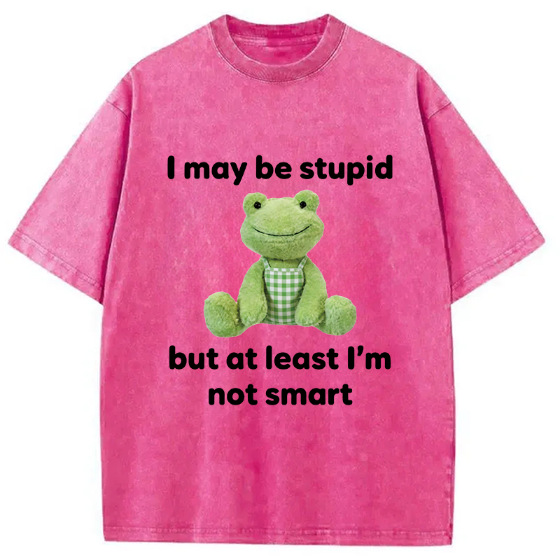 Modecanvas I May Be Stupid Alcohol Lover DTG Printing Washed T-Shirt
