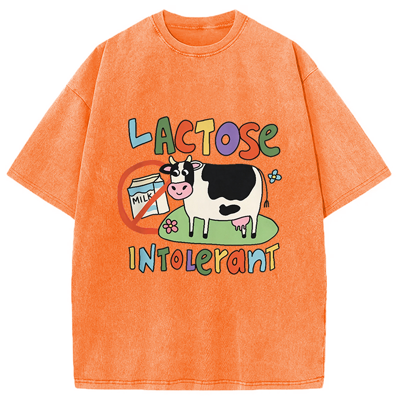 Modecanvas Lactose Intolerant Funny Meme DTG Printing Washed T-Shirt