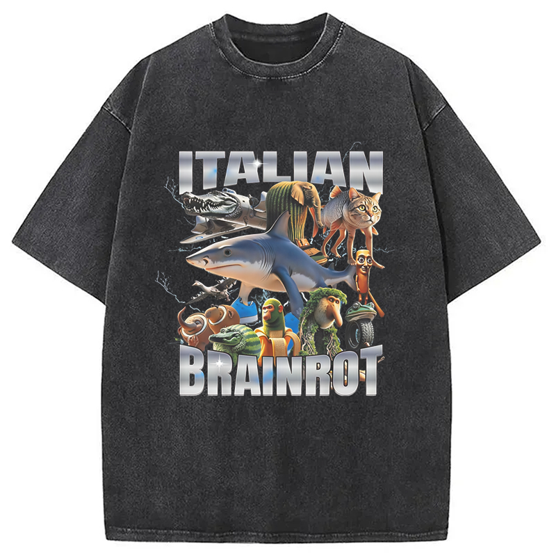 Modecanvas Italian Brainrot Washed T-Shirt