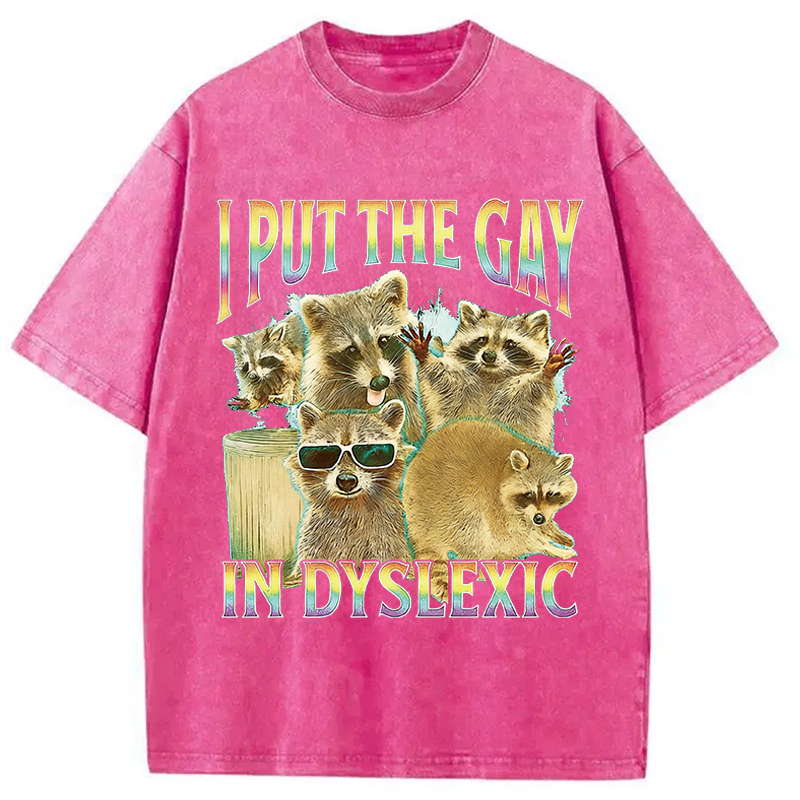 Modecanvas I Put The Gay In Dyslexic Funny Raccoon Meme DTG Printing Washed T-Shirt